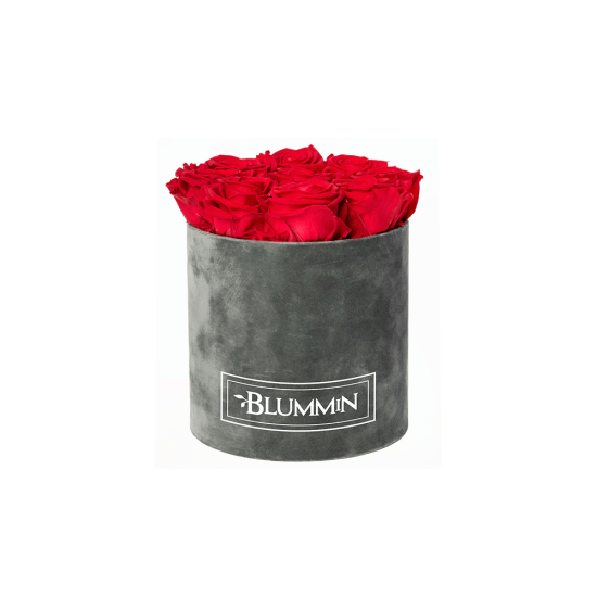 Blummin Medium dark grey velvet straw Vibrant Red with roses