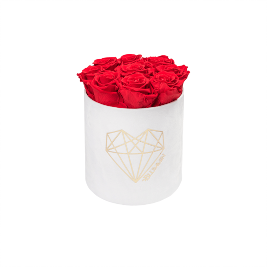 Blummin Love Medium valge sametkarp Vibrant Red kauasäilivate roosidega