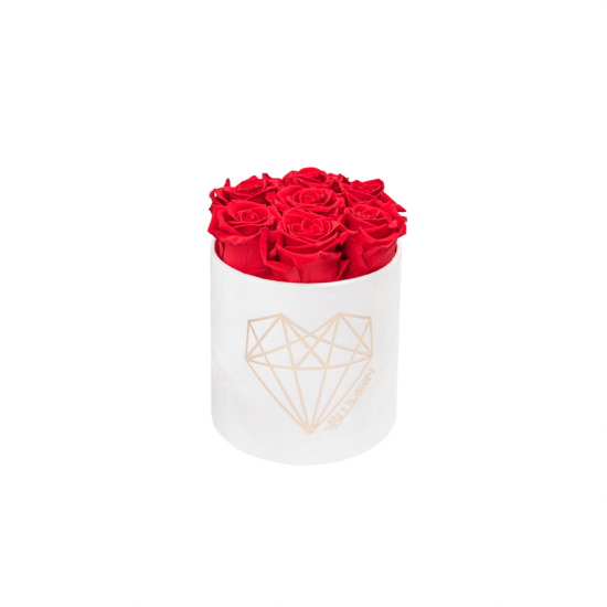 Blummin Love Small valge sametkarp Vibrant Red kauasäilivate roosidega