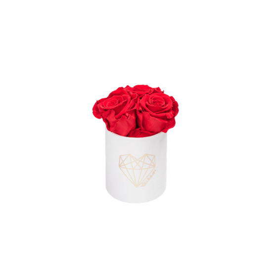 Blummin Love XS valge sametkarp Vibrant Red kauasäilivate roosidega
