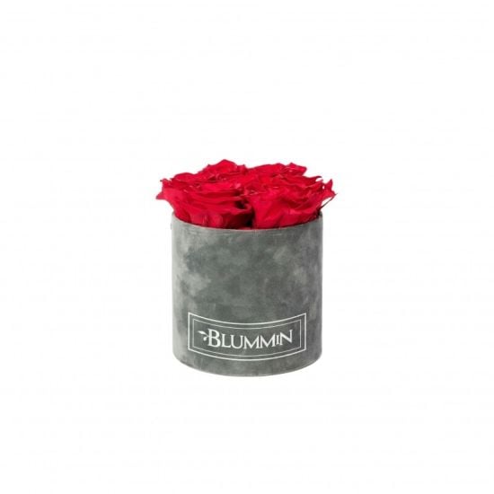 Blummin Small dark grey velvet cup Vibrant Red with long lasting roses