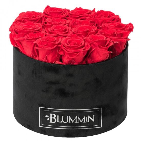 Blummin Large black velvet cup Vibrant Red with roses